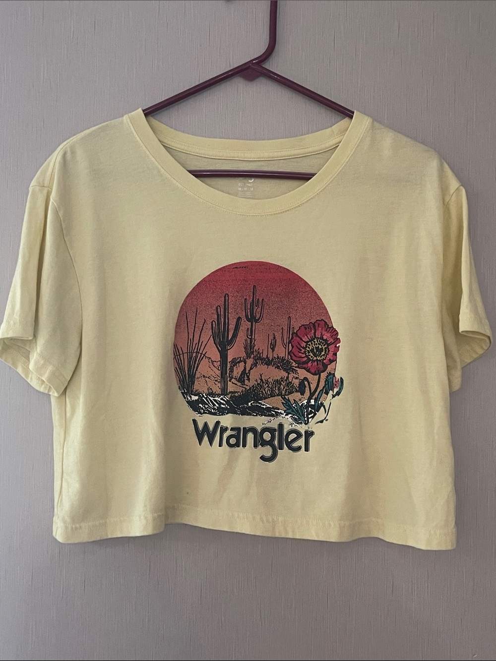 Wrangler Pale Yellow Desert Graphic Crop Tee